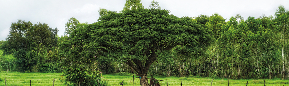 Weekend découverte de l'EmètAnalyse